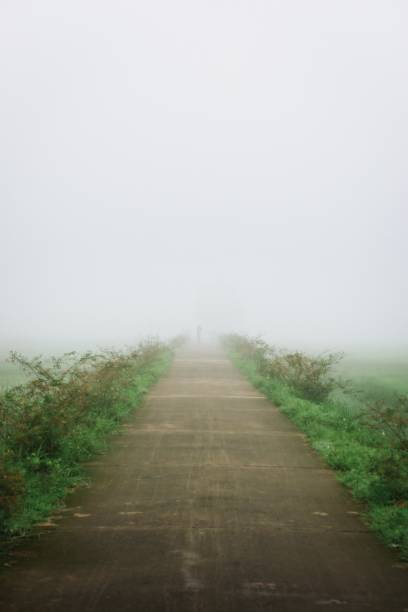 istock Dreamy street 1345429692