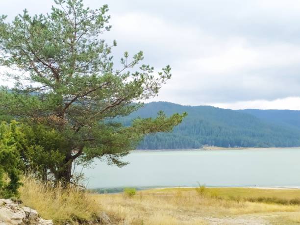 istock Clean lake in the mountains 1345434253
