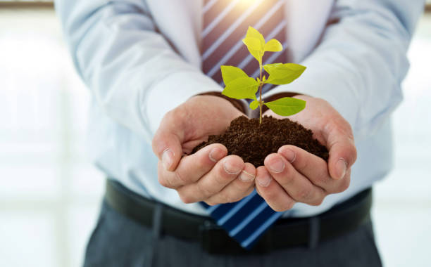 Businessman hand holding a young plant Businessman hand holding a young plant. men close up 20s asian ethnicity stock pictures, royalty-free photos & images