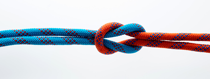 Reef knot on white background.