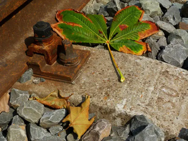 Rusty steel rail and fastening bolt detail with U clamp. dry yellow, green and brown fall leaf. still life. crushed stone base and filler. brown and gray colors. autumn season concept. background.