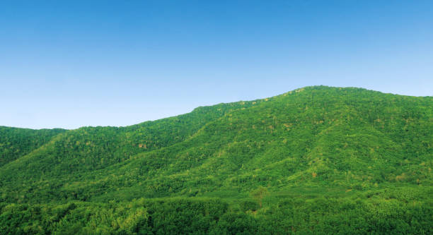 istock Big green beautiful mountain 1345441225