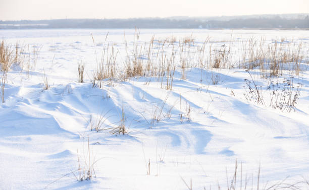 istock Winter landscape with dry grass in white snow on a sunny day 1345447478
