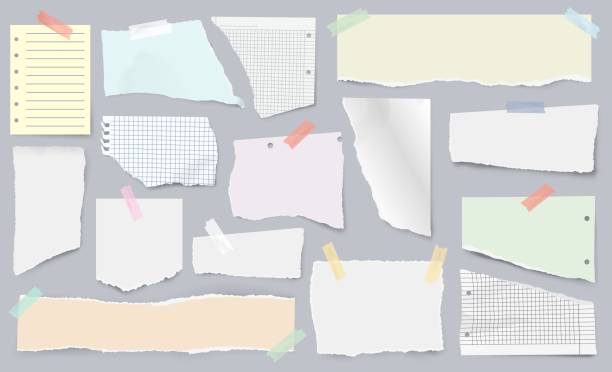 Paper scraps on sticky tape, page pieces with torn edges. Realistic ripped newspaper, ragged notebook sheet, ripped papers strips vector set Paper scraps on sticky tape, page pieces with torn edges. Realistic ripped newspaper, ragged notebook sheet, ripped papers strips vector set. Squared and lined fragments for notes and memos newspapers vector stock illustrations