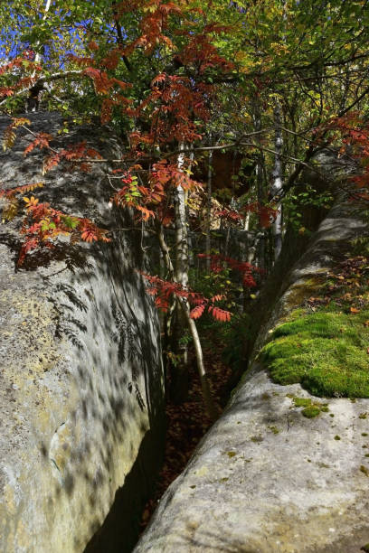 istock Geometrically regular even cracks with parallel walls in a stone massif of quartz sandstone 1345450571