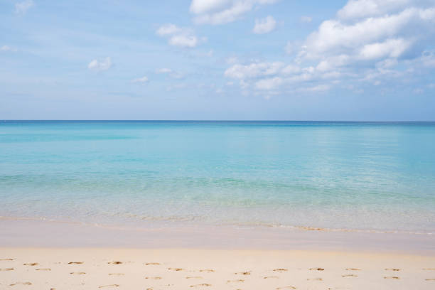 istock Tropical sandy beach with blue ocean and clear blue sky background image for nature background or summer background 1345452070