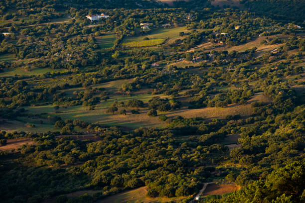 View from above, stunning view of a grasslands illuminated by a beautiful sunrise. Panoramic view from Monte Pino, (Vedetta Monte Pino) Sardinia, Italy.
