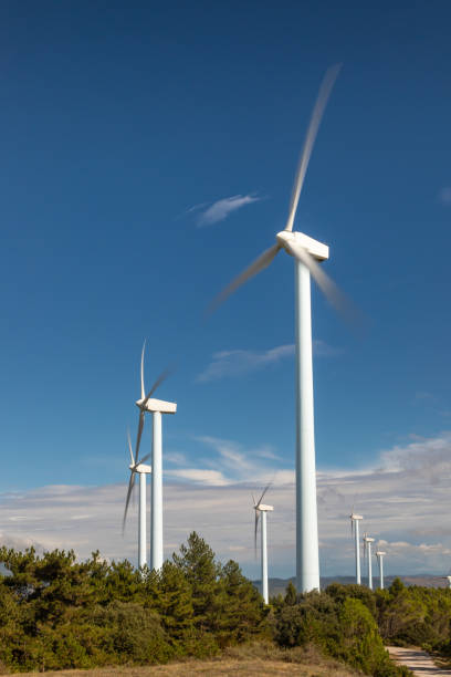 Wind farm, modern windmills on a bright and sunny day