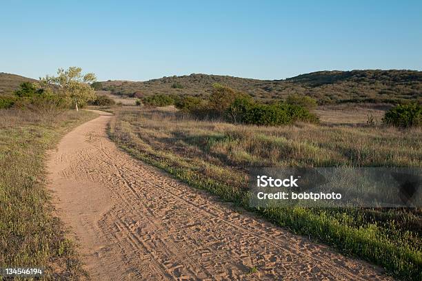 Strada Del Deserto - Fotografie stock e altre immagini di Alba - Crepuscolo - Alba - Crepuscolo, Albero, Ambientazione esterna