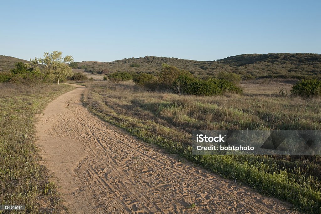 Droga przez pustynię - Zbiór zdjęć royalty-free (Bez ludzi)