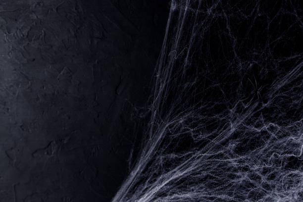 istock Halloween background with spider web  on the black background. Happy Halloween concept. 1345463707