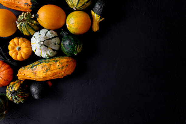 istock Autumn Pumpkin Thanksgiving Background - orange pumpkins over black table 1345463710