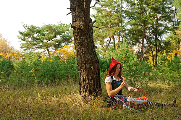 The picture of Red Riding Hood resting under  big Pine Tree