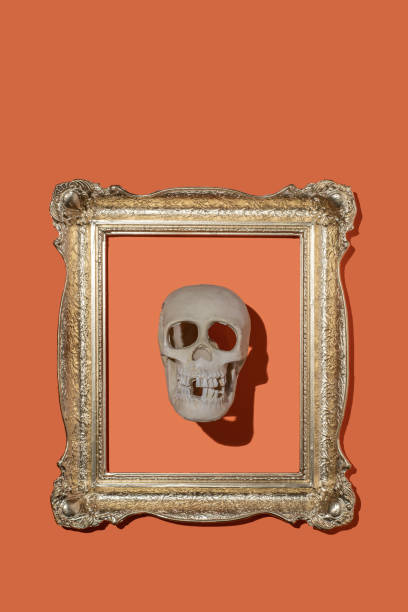 istock human skull in frame stock photo 1345466777