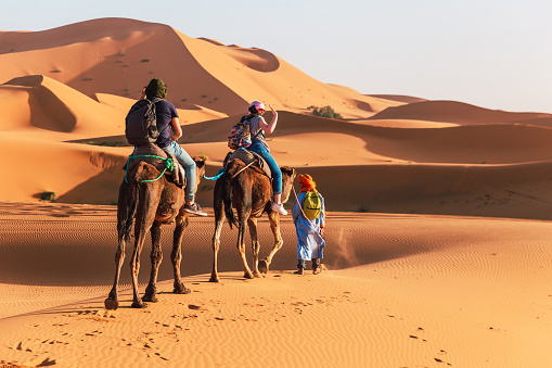 Tourists on camels visit the dunes of the Sahara desert guided by a Berber