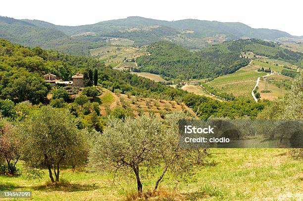 Foto de Colinas Da Toscana Perto De Artimino e mais fotos de stock de Agricultura - Agricultura, Ajardinado, Azul