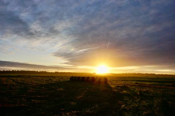 istock Rural scene early in the morning 1345471887