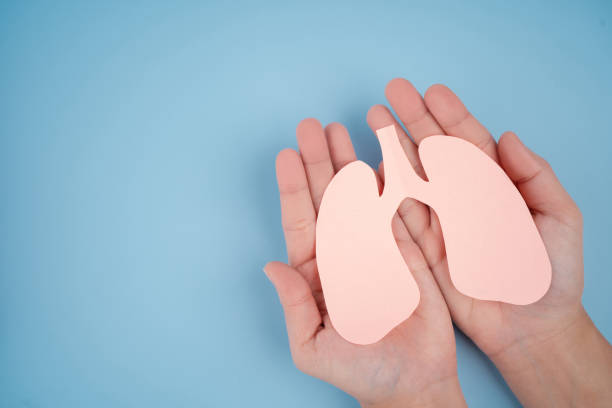 istock Diagnostic, internal donor organ. Lungs made paper on beige background. 1345472420