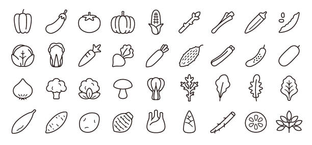 ilustrações, clipart, desenhos animados e ícones de conjunto de ícones vegetais (versão de linha fina) - eggplant vegetable vegetable garden plant