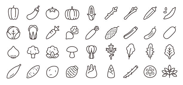 набор значков овощей (версия с тонкой линией) - vegetable asparagus cauliflower legume stock illustrations