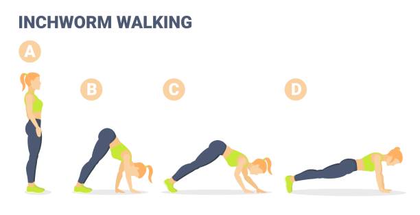 kobieta wykonująca inchworm exercise fitness home workout guidance illustration. koncepcja caterpillar walk - inchworm stock illustrations