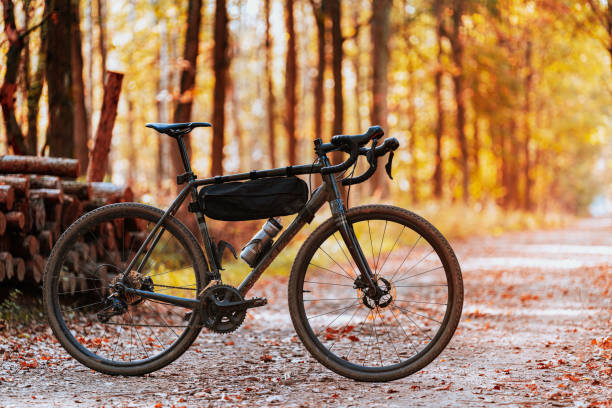 가을에 숲 길에 서 있는 자갈 자전거의 사진 - cyclo cross 뉴스 사진 이미지