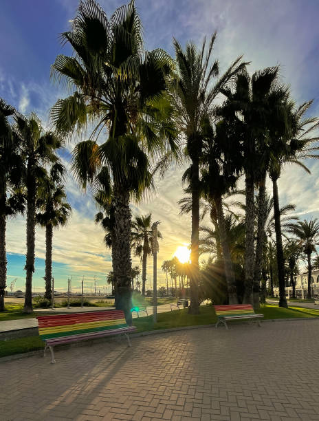 istock Bench in collective LGTB+ promenade with Palm trees 1345480030