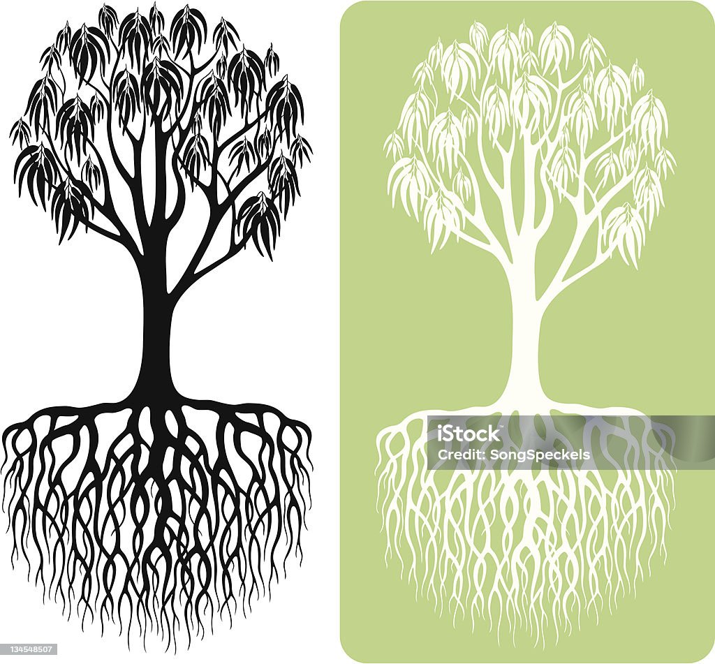 Silueta de árbol de eucalipto - arte vectorial de Árbol de eucalipto libre de derechos