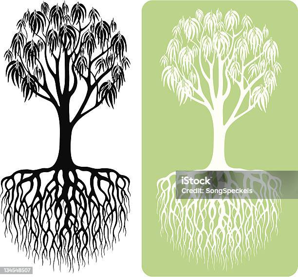 Ilustración de Silueta De Árbol De Eucalipto y más Vectores Libres de Derechos de Árbol de eucalipto - Árbol de eucalipto, Ilustración, Vector