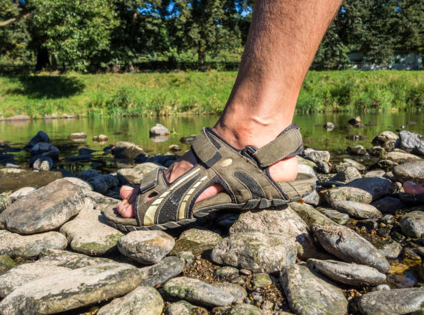 istock Hiking sandals in the mountains 1345485210
