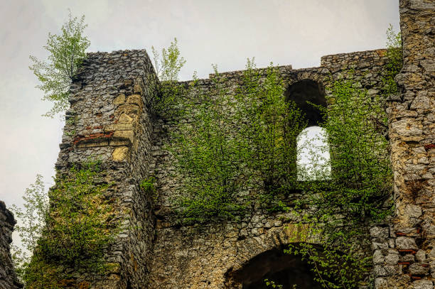 Remains of old medieval castle covered with greenery in Celje, Slovenia.