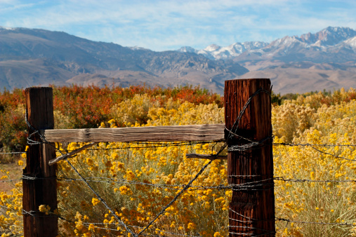 Rustic fence at the boundary of a cattle ranch in the Eastern Sierras in fall with mountains in the background.