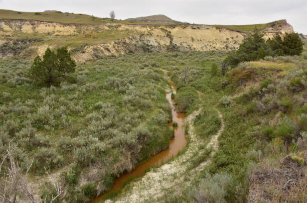 istock Meandering Creek in the Dakotas 1345485525