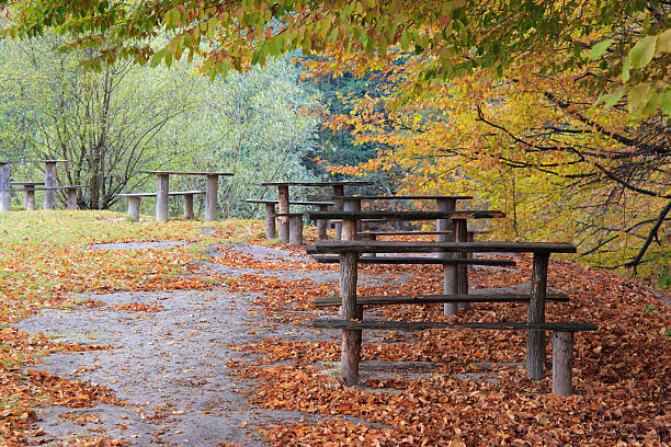 istock Tables and benches in beautiful Autumn setting 134548653