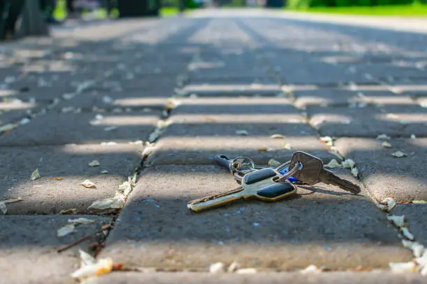 Lying on the sidewalk a bunch of old lost house door keys