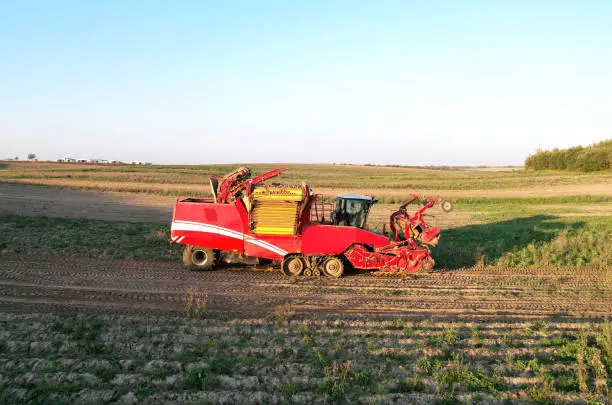 Photo of Potato Harvester at Seasonal harvesting of potatoes from field. Agricultural Potato Combine Harvester at field.