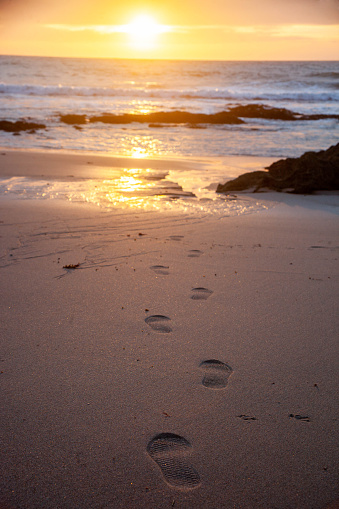 Footprints in the wet sand, with the sunset in the background.