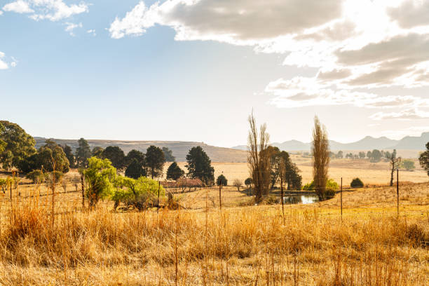 Clarens scenery Countryside around Clarens in the Freestate golden gate highlands national park stock pictures, royalty-free photos & images