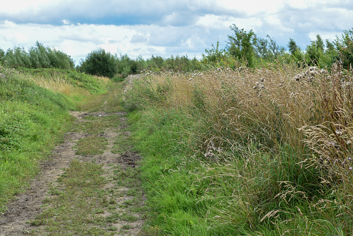 Single track lane on a muddy footpath walking route