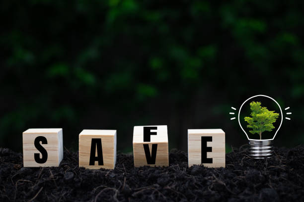 Save and safe text on wood cube with a tree grows in light bulbs, energy saving and environmental concepts on earth day.