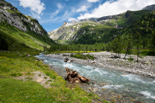 istock Valley in the Austrian alps in summer 1345499632