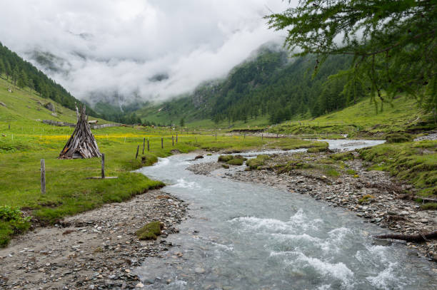 istock River in the alps on a cloudy day in summer 1345499766