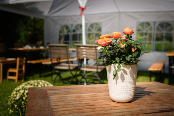 Flowers standing on a wooden table outdoors, sunny day in summer