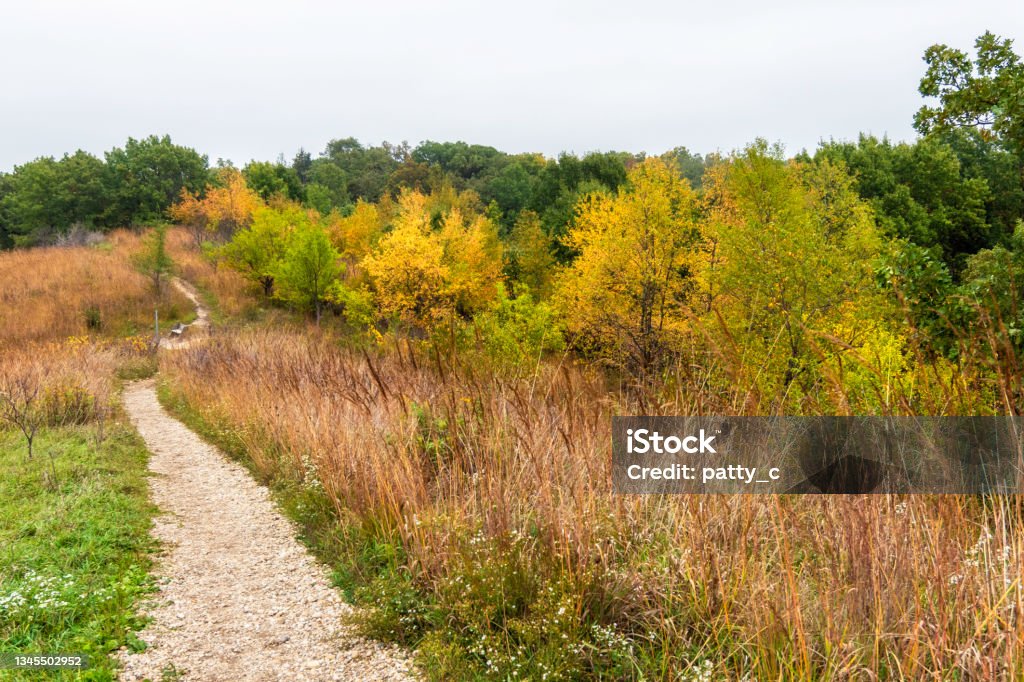 Winding Trail Path leading up a hill in a forest preserve Footpath Stock Photo