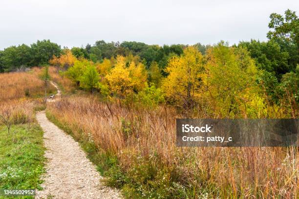 Winding Trail Stock Photo - Download Image Now - Footpath, Illinois, Curve