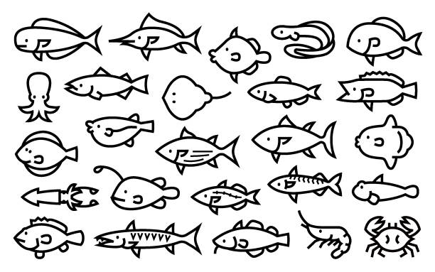 Saltwater fish vector set (Bold outline version) This is a set of saltwater fish illustrations. This is a simple set of icons that can be used for website decoration, posters, advertising works and other digital illustrations. shrimp goby stock illustrations