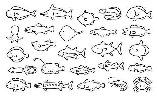 Saltwater fish vector set (Thin Line Version)