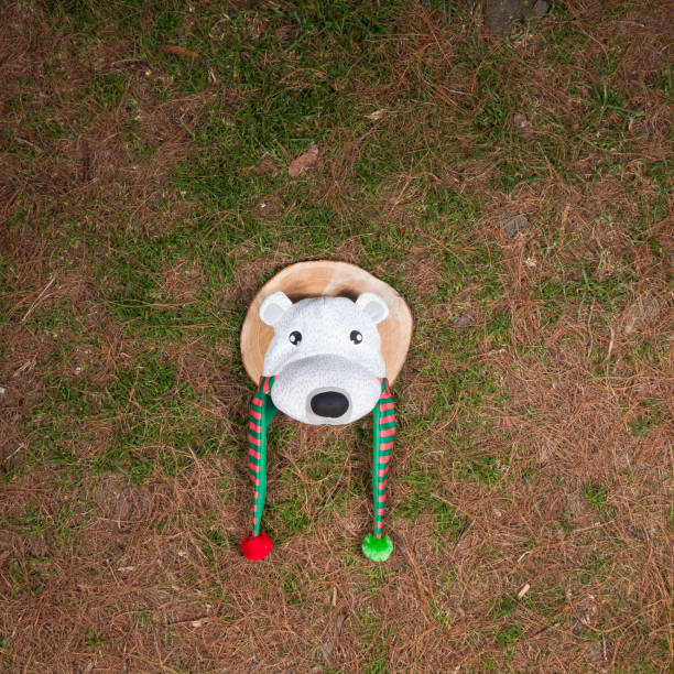 istock Christmas Hat With Shaped Like Polar Bear 1345508502