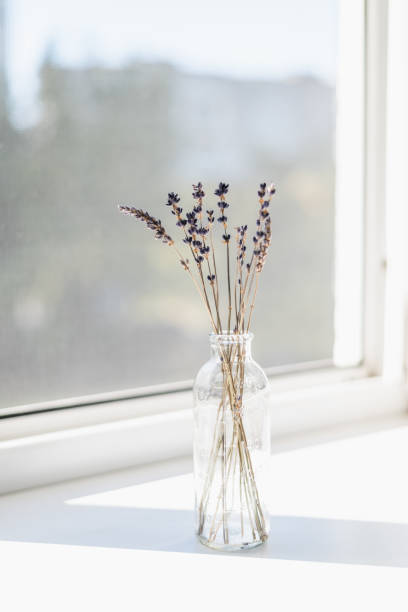 istock Bunch of lavender in the bottle 1345508655