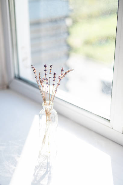 istock Bunch of lavender in the bottle 1345508661